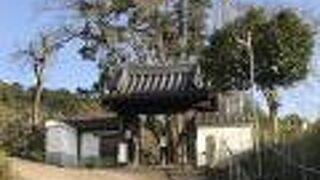 ３年ぶりに訪問。観光地宇治川右岸の隠れ観光スポット。花のお寺。