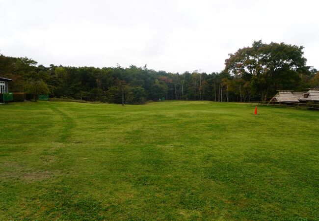 西湖野鳥の森公園 クチコミ アクセス 営業時間 富士五湖 フォートラベル 西湖野鳥の森公園 クチコミ アクセス 営業時間 富士五湖 フォートラベル