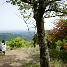 頂上のベンチ等は、混雑していて確保が大変かも。