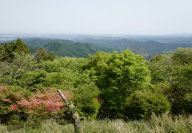 道中の山道からはつつじ等の花が綺麗で、頂上からの眺めも良し！