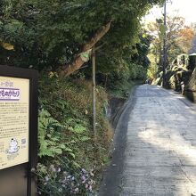 坂を下りきった長寿寺付近より