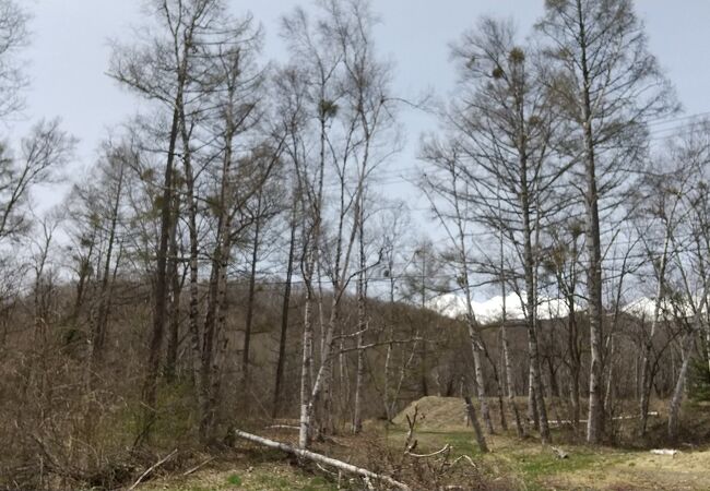 日帰り温泉でリフレッシュ