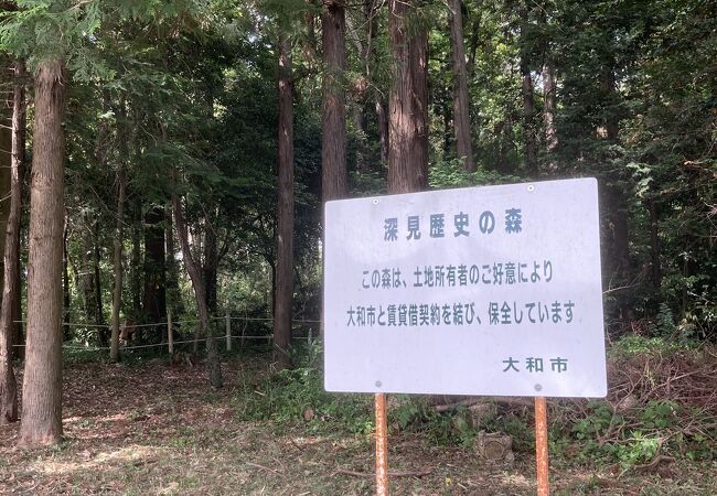 ひっそりとたたずむ森林公園