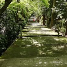 表参道(2021年5月）