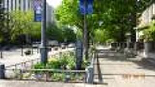 この通りを歩くだけでも「横浜」を感じることができます。