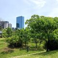 無料で楽しめる公園