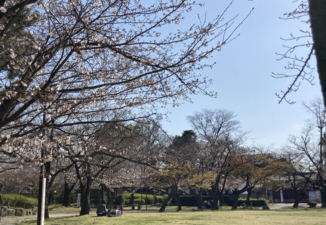 清洲公園 クチコミ アクセス 営業時間 稲沢 清須 フォートラベル 清洲公園 クチコミ アクセス 営業時間 稲沢 清須 フォートラベル