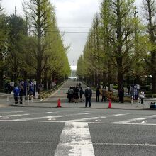 駅前の街道を渡れば向かい側は全部キャンパス。