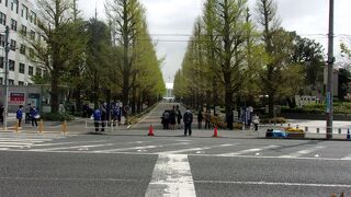 東横線の日吉駅前、こんなに交通便利で緑が広がるキャンパスは稀少だ。