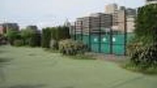 球技スポーツに最適な公園です