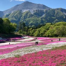 羊山公園