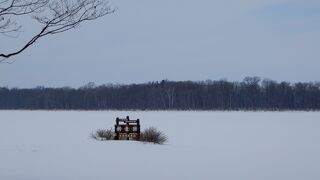 冬は全面凍結でよくわからない