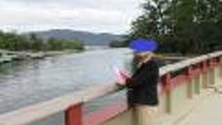 ラッキー!　回転するのを見られました！