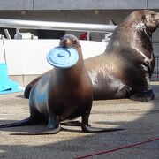 別府と大分の中間にある水族館 （うみたまご） 