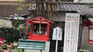 小説のモデルに