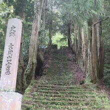 吉岡出雲の墓