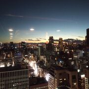 東京タワーを眺めながらの贅沢な鉄板焼き