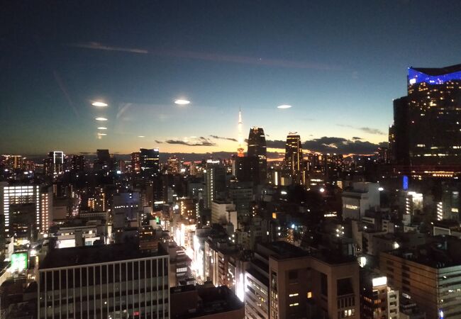 東京タワーを眺めながらの贅沢な鉄板焼き