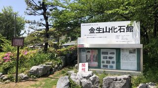 金生山は約2億年前の古生代の化石の宝庫、化石館にはここで出土した化石約700点を展示