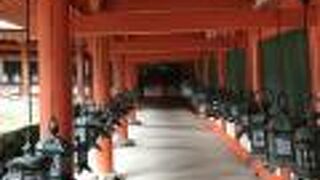 本殿一体の四方を取り囲む朱塗りの回廊は印象的！