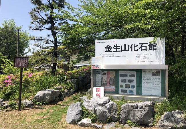 大垣市金生山化石館 クチコミ・アクセス・営業時間｜大垣