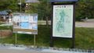 緑と自然豊かな広々とした公園