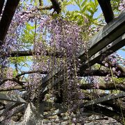 正しく村の鎮守の神様だった。