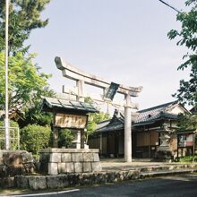 惣社神社、鳥居。