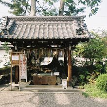 惣社神社、手水舎。