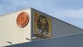 ライオンキング