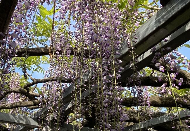 正しく村の鎮守の神様だった。