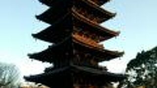 木造塔では日本一高い