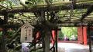 盛り過ぎてて残念