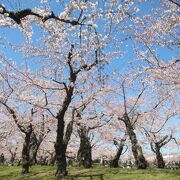 4月下旬の桜の頃が特におススメ