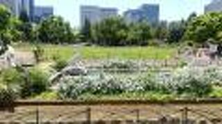 綺麗な花壇です。