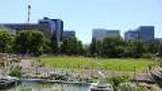 可愛らしいペリカンです。