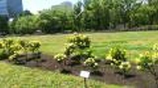 こちらも素敵です。