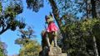 稲荷大神様のお使い