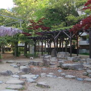 野田ふじの名所（１）下福島公園