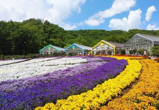 とちぎ花センター クチコミ アクセス 営業時間 栃木 壬生 都賀 フォートラベル とちぎ花センター クチコミ アクセス 営業時間 栃木 壬生 都賀 フォートラベル