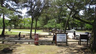 奈良公園