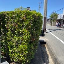 萩の街並みの様子です。