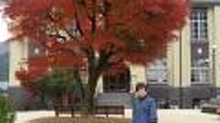 レトロな感じが良かったです