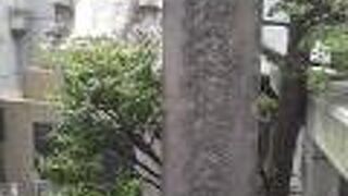 日本最大級の市場