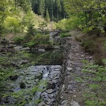 「ふれあい公園」は池や橋が整備され散策にぴったり。