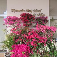 思わず見とれるフロントのブーゲンビリア