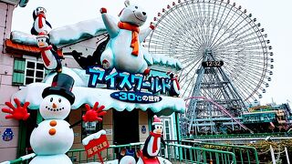 直径１００ｍのコスモクロックが目印　コスモワールド