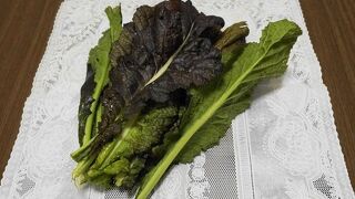 門前市場で大和野菜を購入