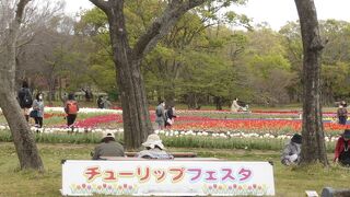 季節の移り変わりが感じられて心身ともに癒されます。