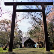 今だから、元気をもらえる花手水（はなちょうず）桜Ver.